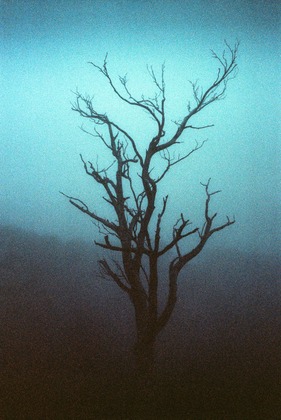 Ryan Muirhead workshop photo 14